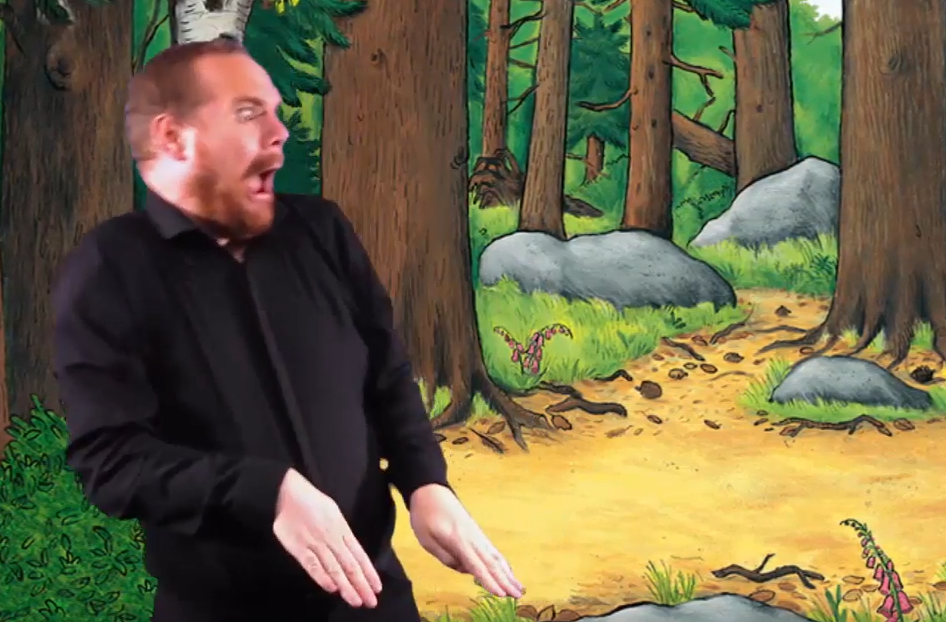 The Visual Element of Sign Language Cemented!